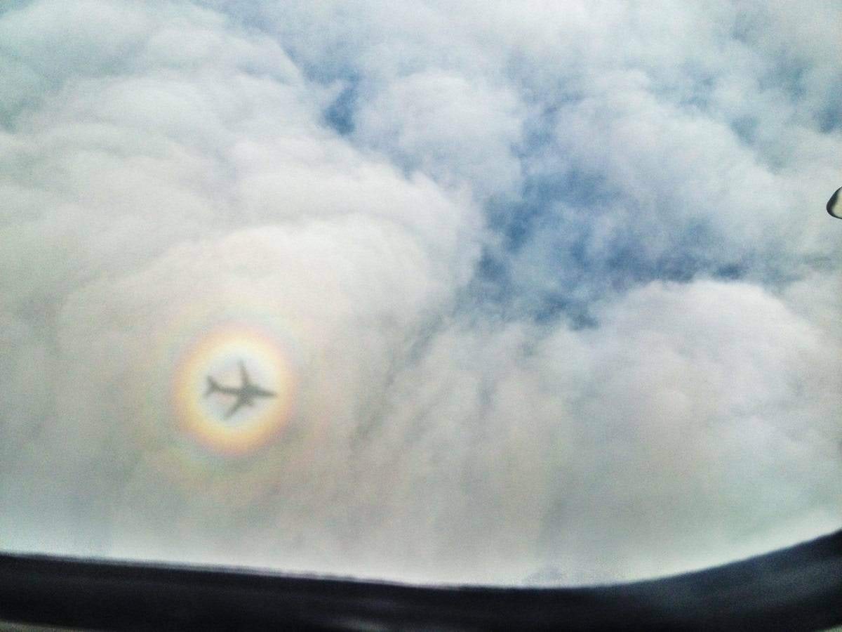 Lennuki halo